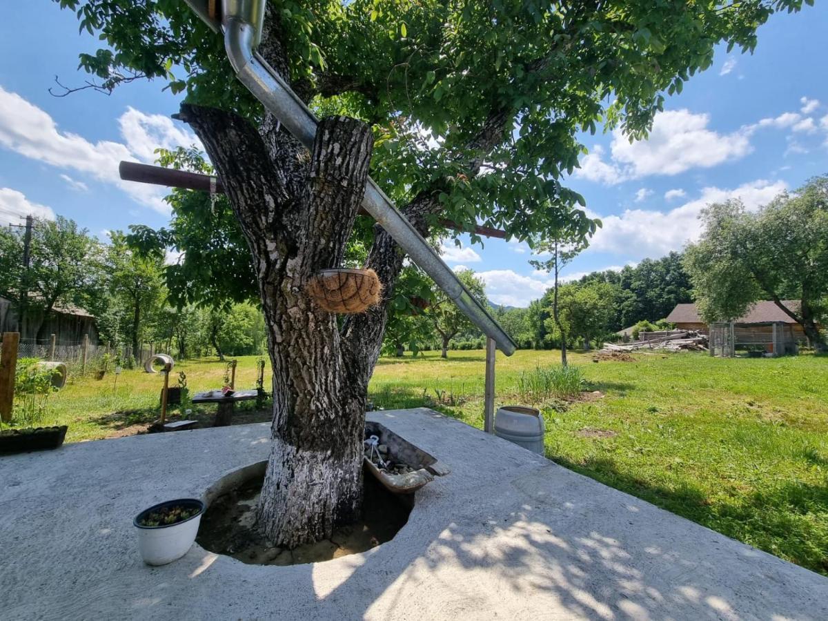 Casa Primitoare In Inima Naturii Si Padurii Rasca  Exterior foto
